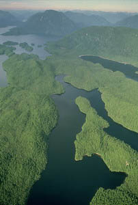 great-bear-rainforest-arial-photo.jpg