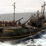 Sea Shepherd hajó (fotó: Paul Taggart)