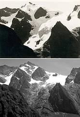 Ruwenzori-hegység gleccsercsoportja (1952 és 2008)