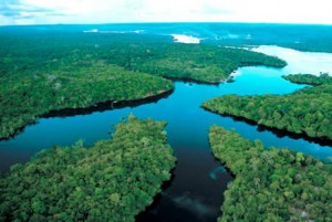 amazonas