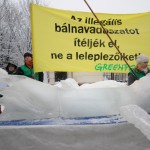 Greenpeace feb.12