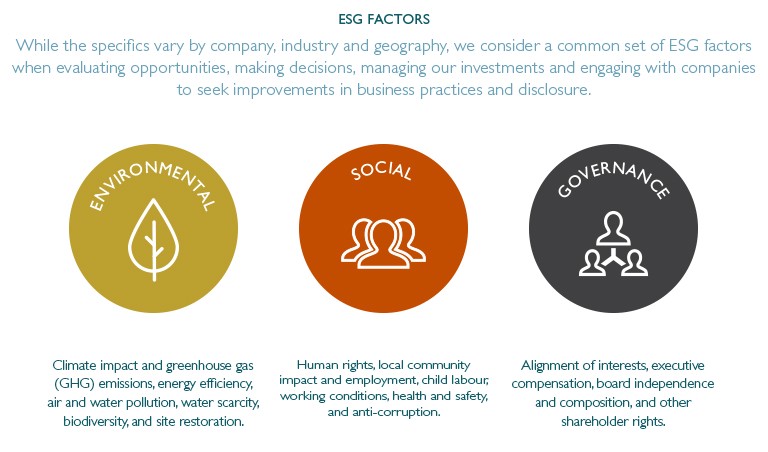 ESG Factors